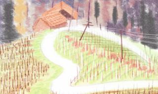 国际马拉松比赛时间 国际马拉松比赛时间